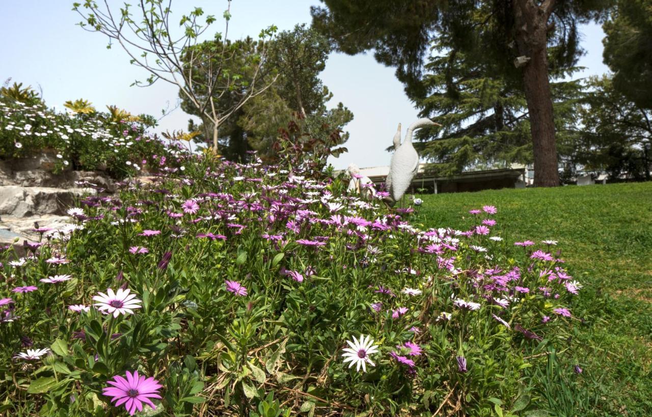 Hacienda Forest View Hotel Maalot Tarshiha Esterno foto